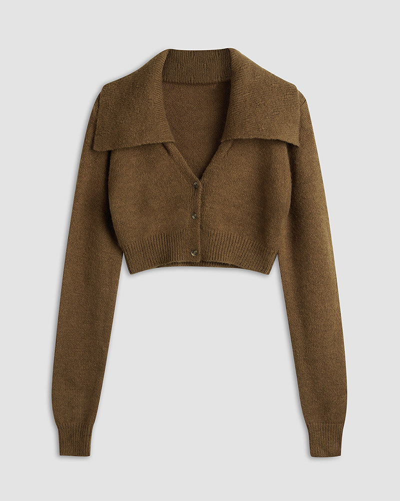Single-breasted Long Sleeved Short Sweater