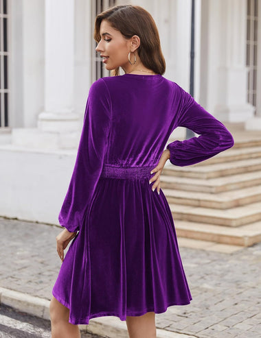 Zeagoo Women's Elegant Velvet Dress Winter Dress