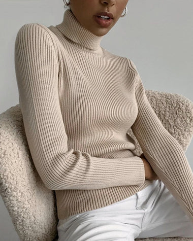 Vertical Stripe Knitted Turtleneck Sweater