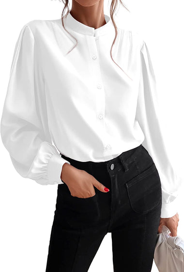 Women's Silk Button Down Shirts V Neck Long Sleeve Casual Work Office Blouse Top - Zeagoo (Us Only)
