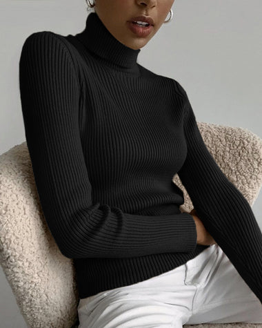 Vertical Stripe Knitted Turtleneck Sweater